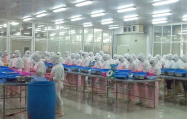 Thực phẩm – thủy sản  - kho lạnh